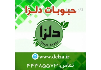 شرکت بسته بندی حبوبات دلزا دلزا با شماره ثبت 342548 در واقع کارخانه ای