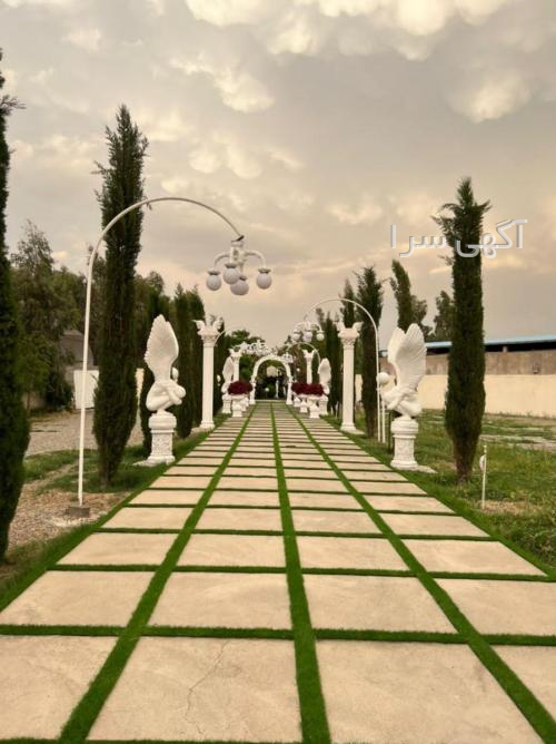 لباس برای تولد پوشیده