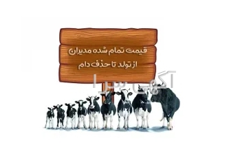 نرم افزار قیمت تمام شده (گاوشیری / دام سبک)