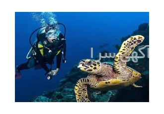آموزش غواصی با صدور مدرک بین المللی در تهران آموزش دوره های غواصی CMAS