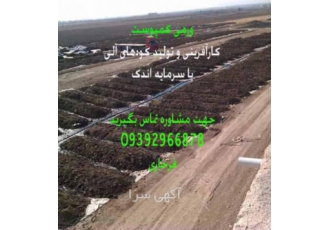 ورمی کمپوست و کرم ورمی تولید و فروش کود آلی و اورگانیک ورمی کمپوست فروش