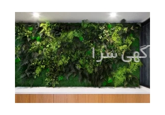 دیوارسبز(گیرین وال) در تهران اجرا گرین وال با قیمت مناسب استفاده