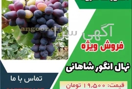 آگهی های خدمات صنعتی و کشاورزی - شاهرود