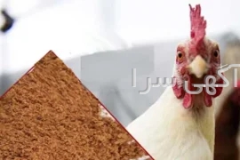 آگهی های خدمات صنعتی و کشاورزی - بوشهر