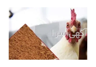 فروش نهاده دامی به طور مستقیم باکیفیت عالی و قیمت مناسب