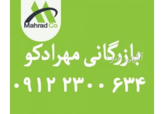 فروش فنل-STPP-متانول-اسید بوریک-MEG- بوتیل گلایکول