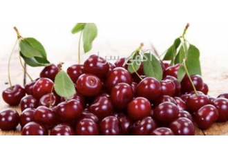 صادرات میوه و تره بار به عراق