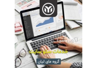 سئو سایت بصورت حرفه ای در بوشهر