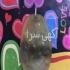 مهره مار دعانویس ناموس کفتار مهره سلیمانی خرمهره مهره گبری درود…این
