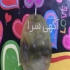 مهره مار دعانویس مهره سلیمانی مهره گبری طلسمات گشایش ناموس ک درود این