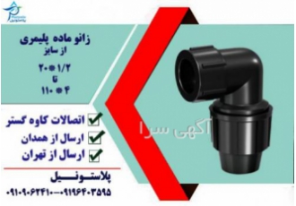 زانو ماده