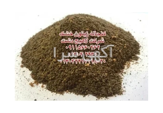 کنجاله زیتون