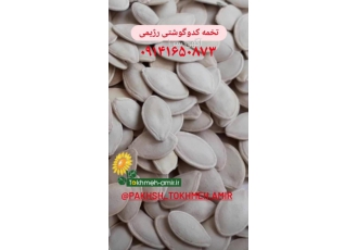 تخمه کدو آجیلی درجه یک بنام خدا فروش تخمه آفتابگردان وتخمه کدو بصورت