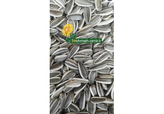 مرکزوپخش عمده تخمه امیر
