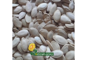 فروش انواع تخمه کدو آجیلی شهرستان خوی