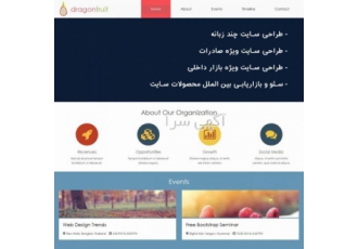 طراحی سایت چند زبانه ویژه صادرات