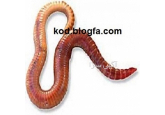 تهیه کود ارگانیک و بازیافت زباله با کرم خاکی