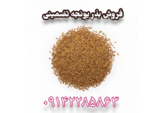 فروش بذر یونجه همدان