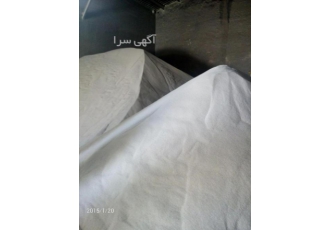 پارس سیلیس