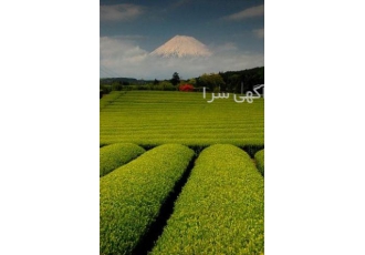 فروش شرکت رتبه 5 کشاورزی
