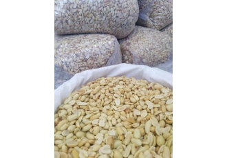 بادام زمینی ویژه کره گیری و کره بادام زمینی بادام زمینی تازه بادام