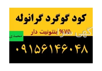 کود گوگرد گرانوله ۷۵%بنتونیت دار| در مشهد شرکت تولیدی اتحاد گستر خراسان