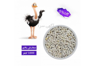 دان شترمرغ