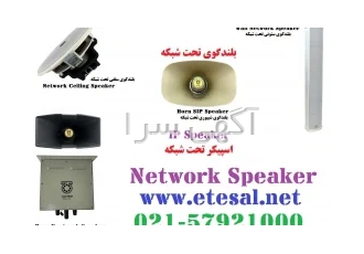 اسپیکر تحت شبکه