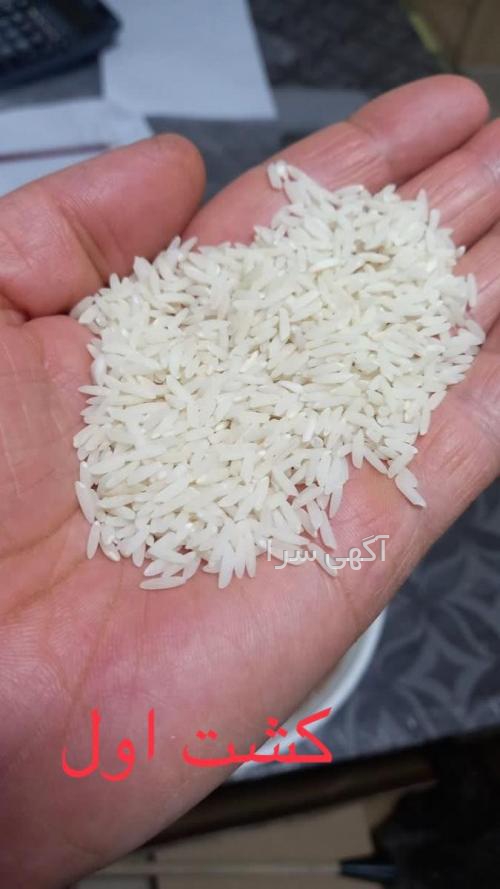 آگهی های تولید مواد غذایی - مازندران