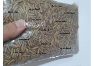لارو مگس سرباز سیاه خشک شده گرمی لارو مگس سرباز سیاه خشک شده گرمی فروش