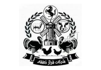 تخم نطفه دار طاوس {هندی و سفید}مستقیم از پرورشگاه باسلام خدمت شما