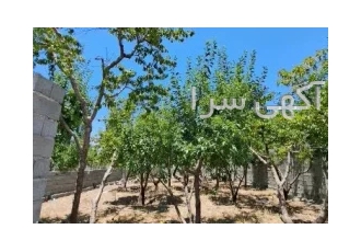 ارزانترین زمین سنددار تهراندشت کرج