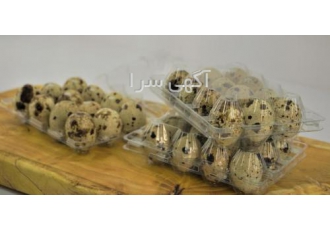 فروش تخم بلدرچین ویژگیهای محصول وزن خالص 150 گرم شیوه نگهداری در یخچال