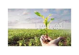 مشاوره پروژه های کشاورزی ارائه خدمات آموزشی تحلیل داده های کشاورزی