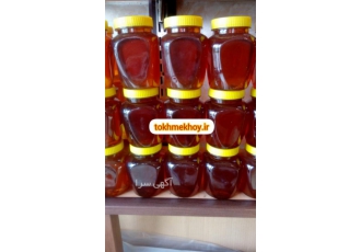 فروش عمده عسل طبیعی کوهی