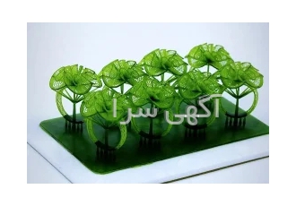پرینت ۳ بعدی طرح های طلا ، جواهر ، نقره