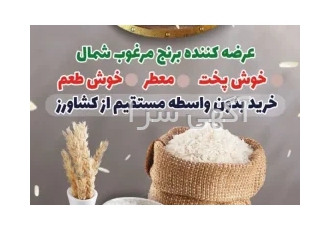 برنج ممتاز اطرب در نکا عرضه کننده مرغوب ترین برنج شمال به قیمت کارخانه