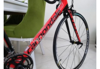 دوچرخه کنندل آمریکا وارداتی کنندیل آمریکا مخصوص حرفه ای های جاده فریم