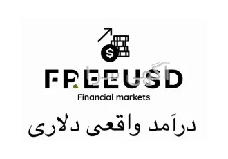 آموزش درآمد دلاری ( با ضمانت درآمد) در تهران میخوای ی درآمد دلاری