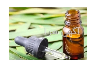 تولید اسانس اکالیپتوس در ارومیه اسانس اکالیپتوس یک ماده عطری است