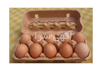 تخم مرغ رسمی اصل در قرچک تخم مرغ رسمی بصورت عمده و پک شده کلی و جزیی