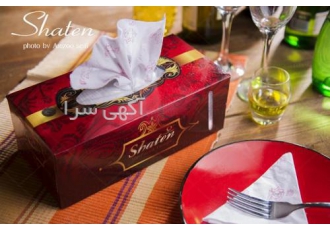 فروش ویژه دستمال کاغذی شاتن و دیانک محصولات سلولزی گروه صنعتی متین