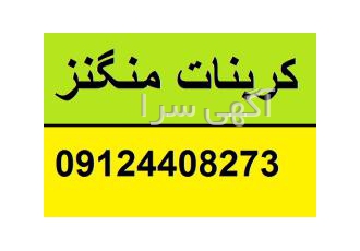 فروش کربنات منگنز کربنات منگنز فروش کربنات منگنز کربنات منگنز با بهترین