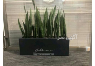 گلدان فایبرگلاس مستطیل www Goldaneman com گلدانِ من با مدیریت مهندس