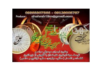 حرفه ای ترین نوازندگان با بهترین موسیقی اجرای حرفه ای موسیقی سنتی