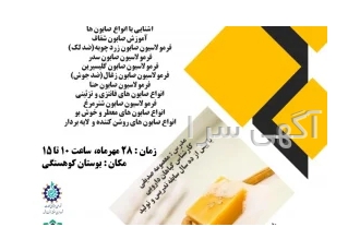 ورکشاپ آموزش صابون سازی