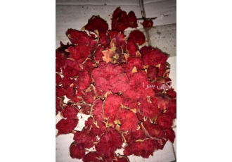فروش گلنار فارسی