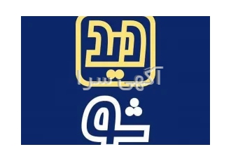 طراحی سایت دیدشو
