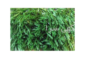 اجاره چمن مصنوعی مزایای استفاده از چمنهای مصنوعی صرفه جویی اقتصادی است
