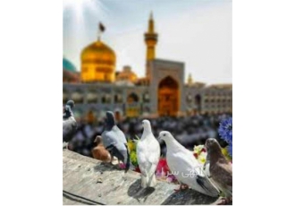 تور ارزان مشهد با قطار